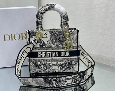 DIOR Handbags 585